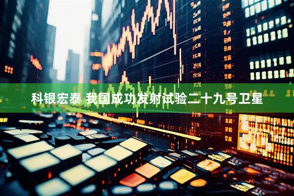 科银宏泰 我国成功发射试验二十九号卫星