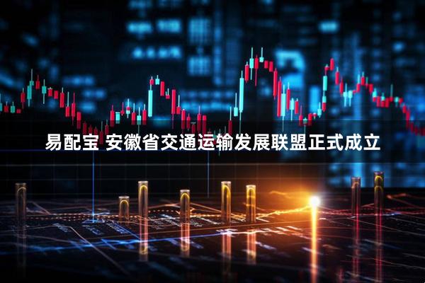 易配宝 安徽省交通运输发展联盟正式成立
